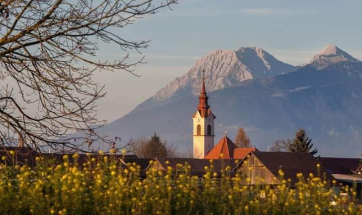 Michoart Leilighet Ljubljana Eksteriør bilde