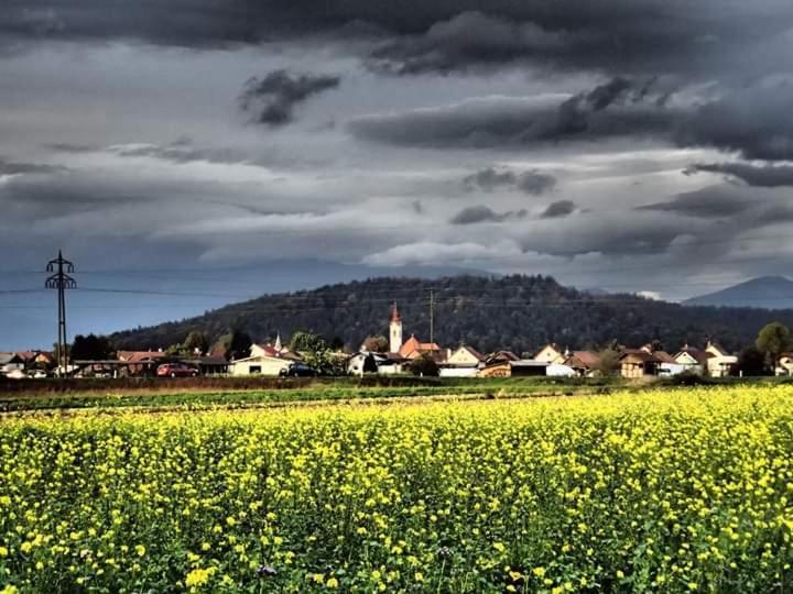 Michoart Leilighet Ljubljana Eksteriør bilde